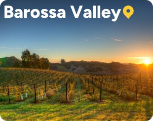 barossa valley